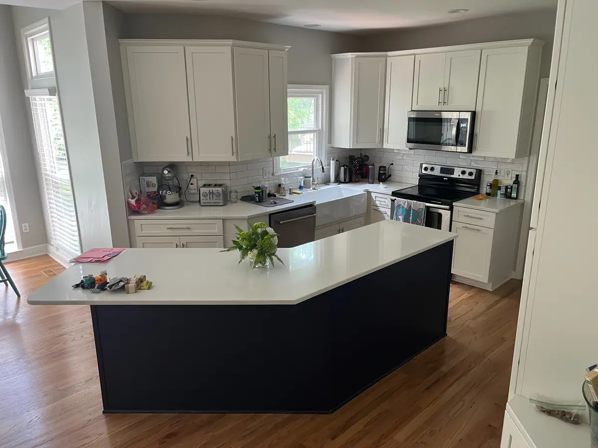 Kitchen with farmhouse sink, plant, and apple bowl — before